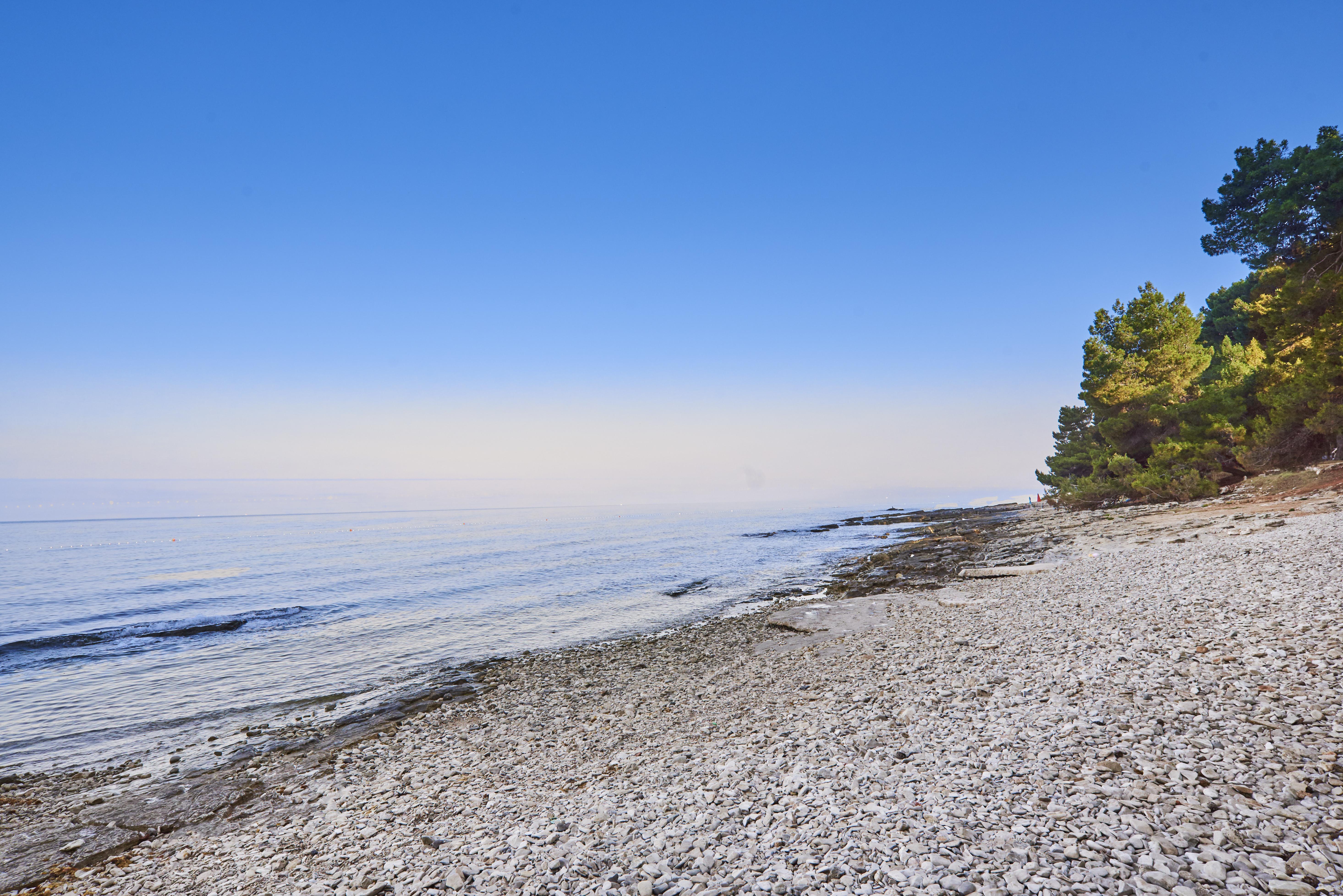Apartments Savudrija Plava Laguna Umag Eksteriør billede
